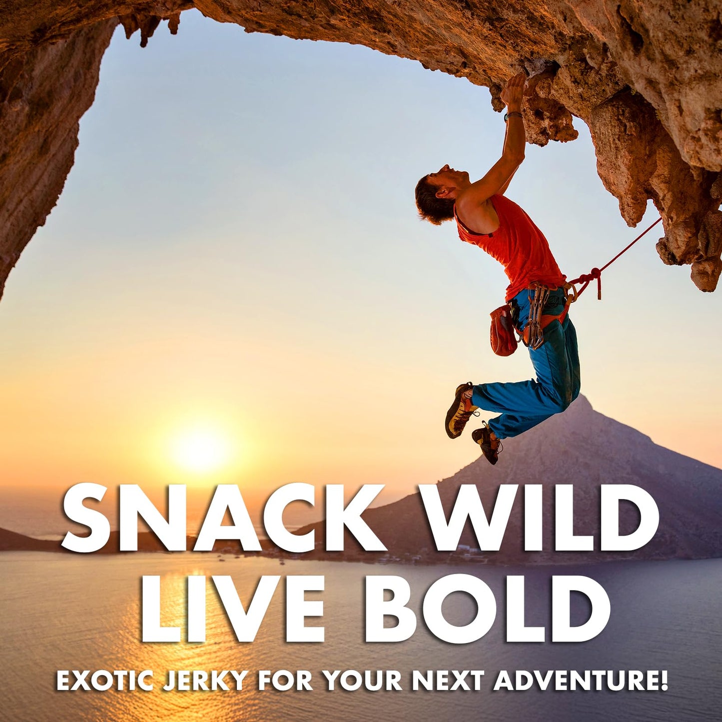 Buffalo Bob's Wild Game Meat Snacks (1oz Stick, 15 Pack) Exotic Variety Assortment Sampler, Gift for Men/Dad, Stocking Stuffer, Adventure Enthusiast