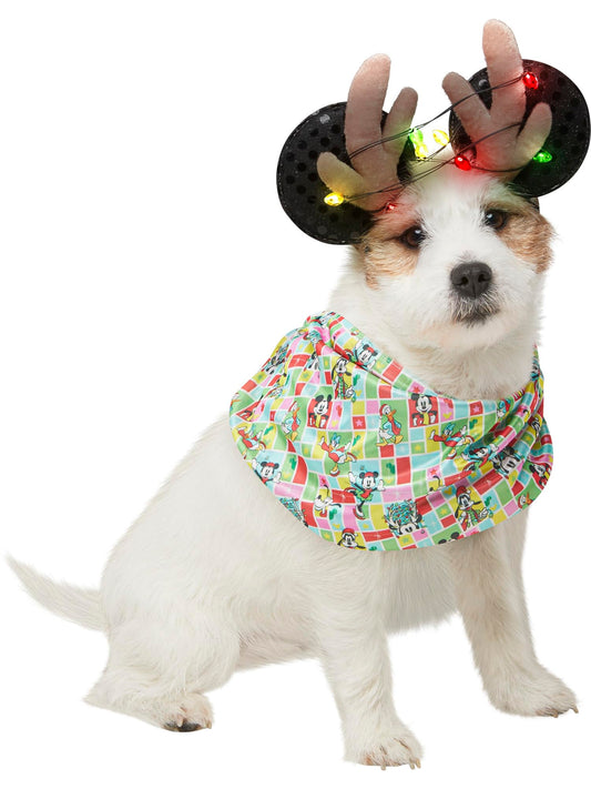 Rubie's Disney Reindeer Light Up Holiday Ears and Antlers with Infinity Scarf for Pets, As Shown, Medium/Large