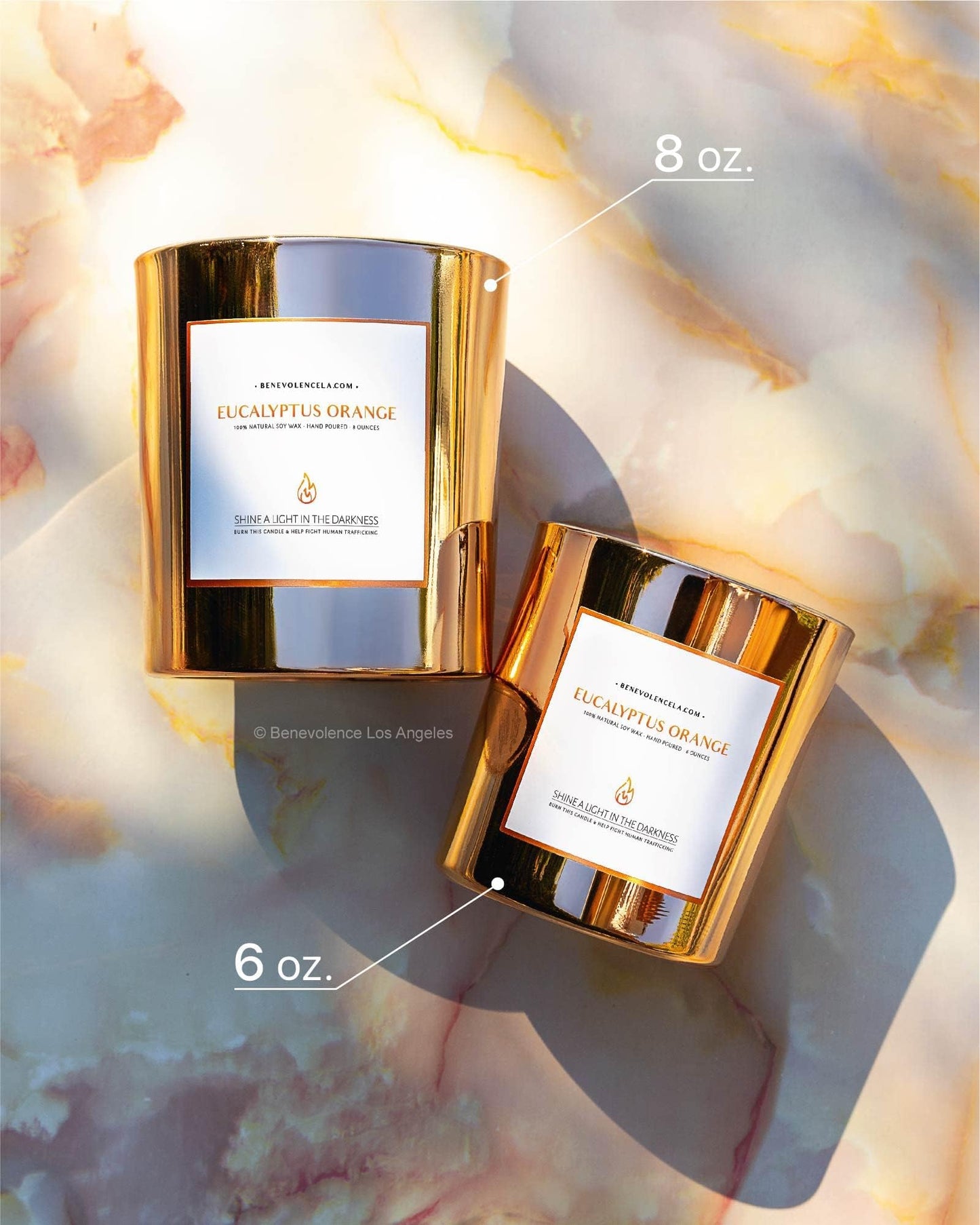 Benevolence LA Eucalyptus Orange Wood Wick Candles | Soy Scented Candles for Home | Gifts for Women and Men | Home Fragrance | Aromatherapy | Shelf Decor, Bathroom Freshener | 8oz, 45 Hour Burn