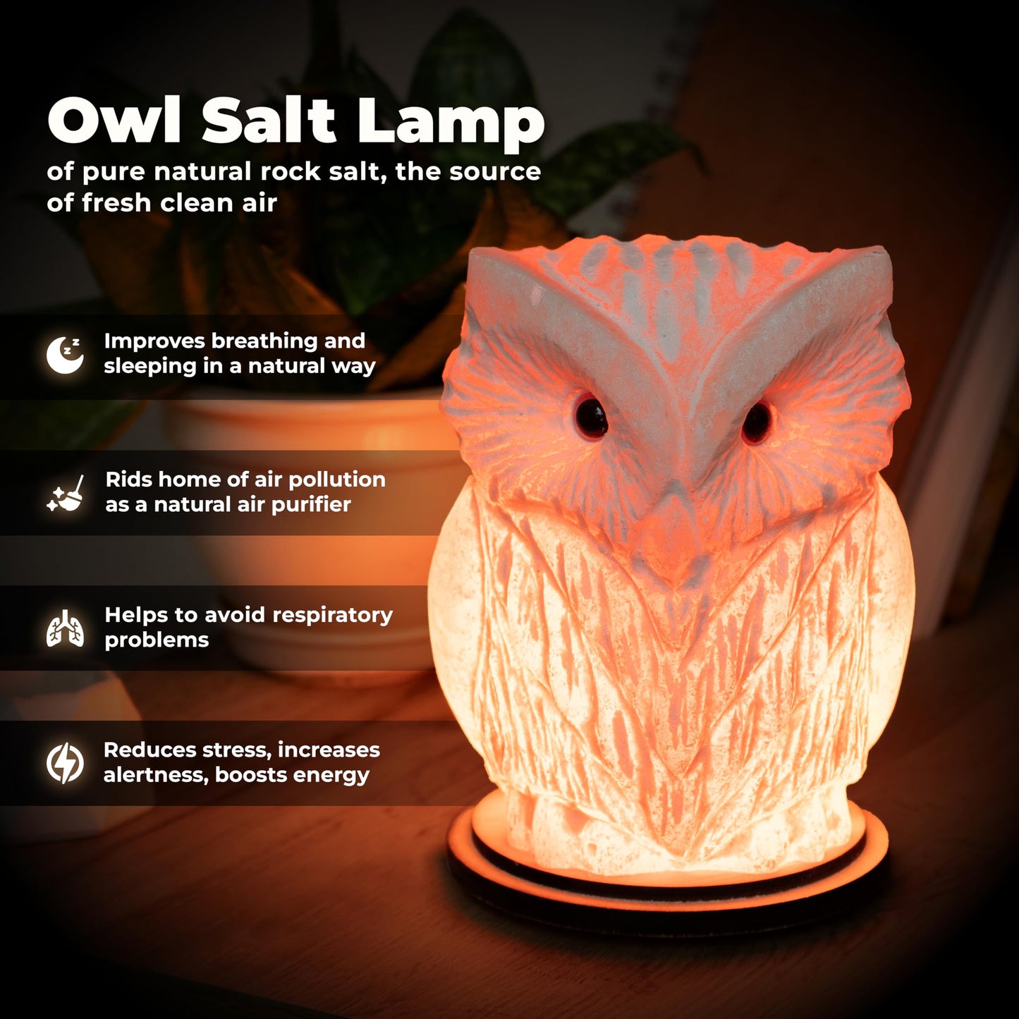 Owl Crystal Salt Lamp H 6.7”, 4.4 lbs - Pure Natural Rock Salt – Unique Night Light Lamp - 1 Light Bulb as a Gift - Wooden Present Box - Holiday Gift Ideas - Cool Room Décor