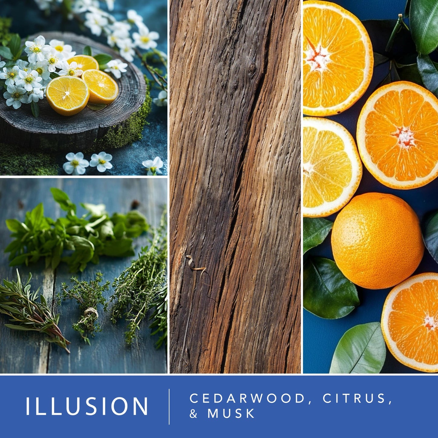 Scentsationals Wax Melts Moodscapes - Tranquility 4-Pack – Long Lasting Wax Cubes with Strong Scent for Warmers – Includes Zen, Illusion, Enchanted & Dream Cloud – 10oz (24-Cubes)