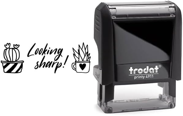 Custom Self-Inking Stamps | 49 Designs | Fun Phrases | Grading Made Easy | Classroom, Library & Book Stamps (Xtra Large)
