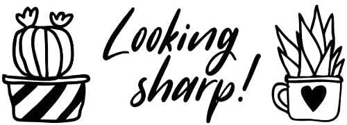 Custom Self-Inking Stamps | 49 Designs | Fun Phrases | Grading Made Easy | Classroom, Library & Book Stamps (Xtra Large)