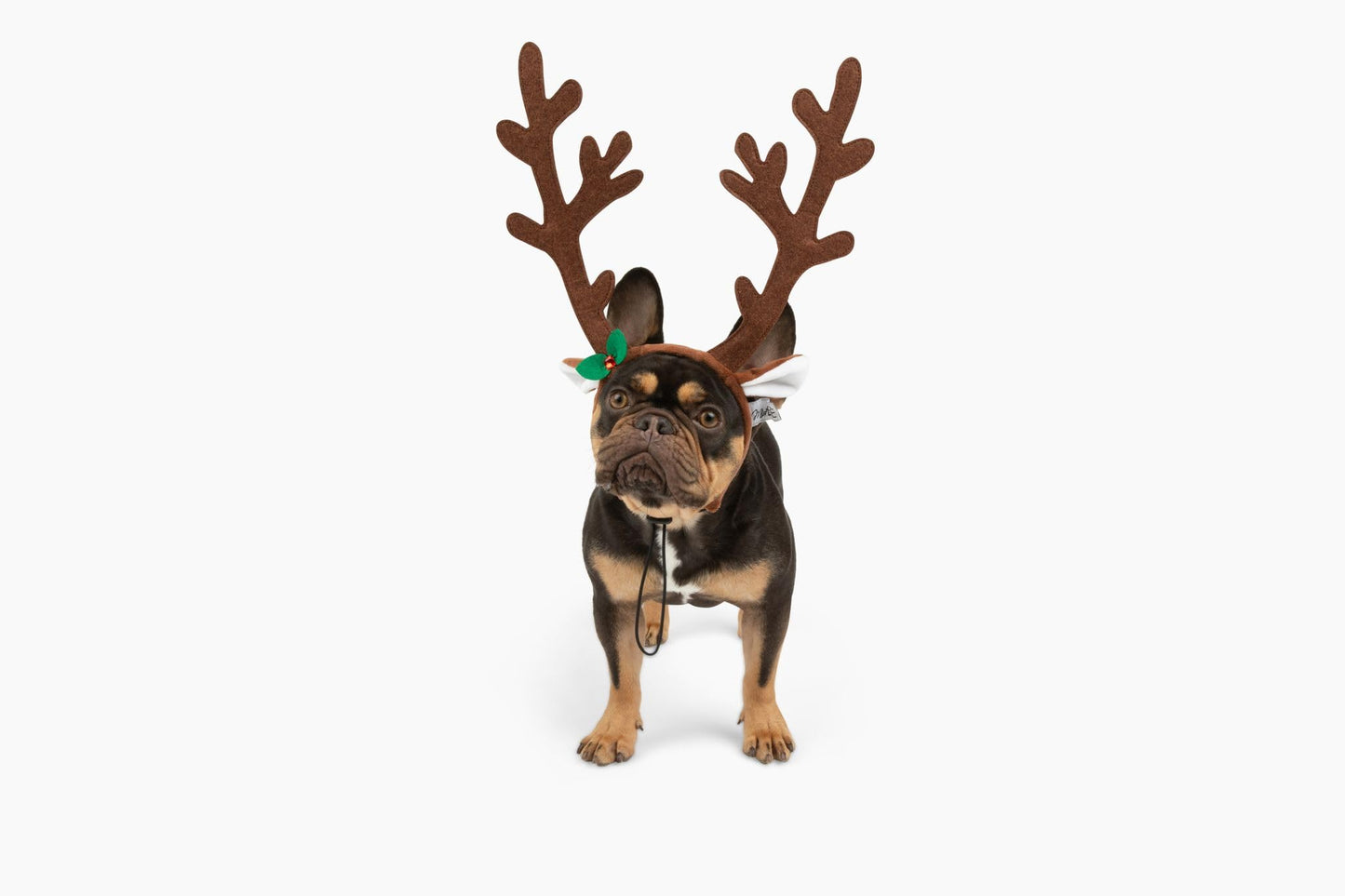 Midlee Brown Reindeer Dog Antlers Headband Pet Christmas Costume - Large