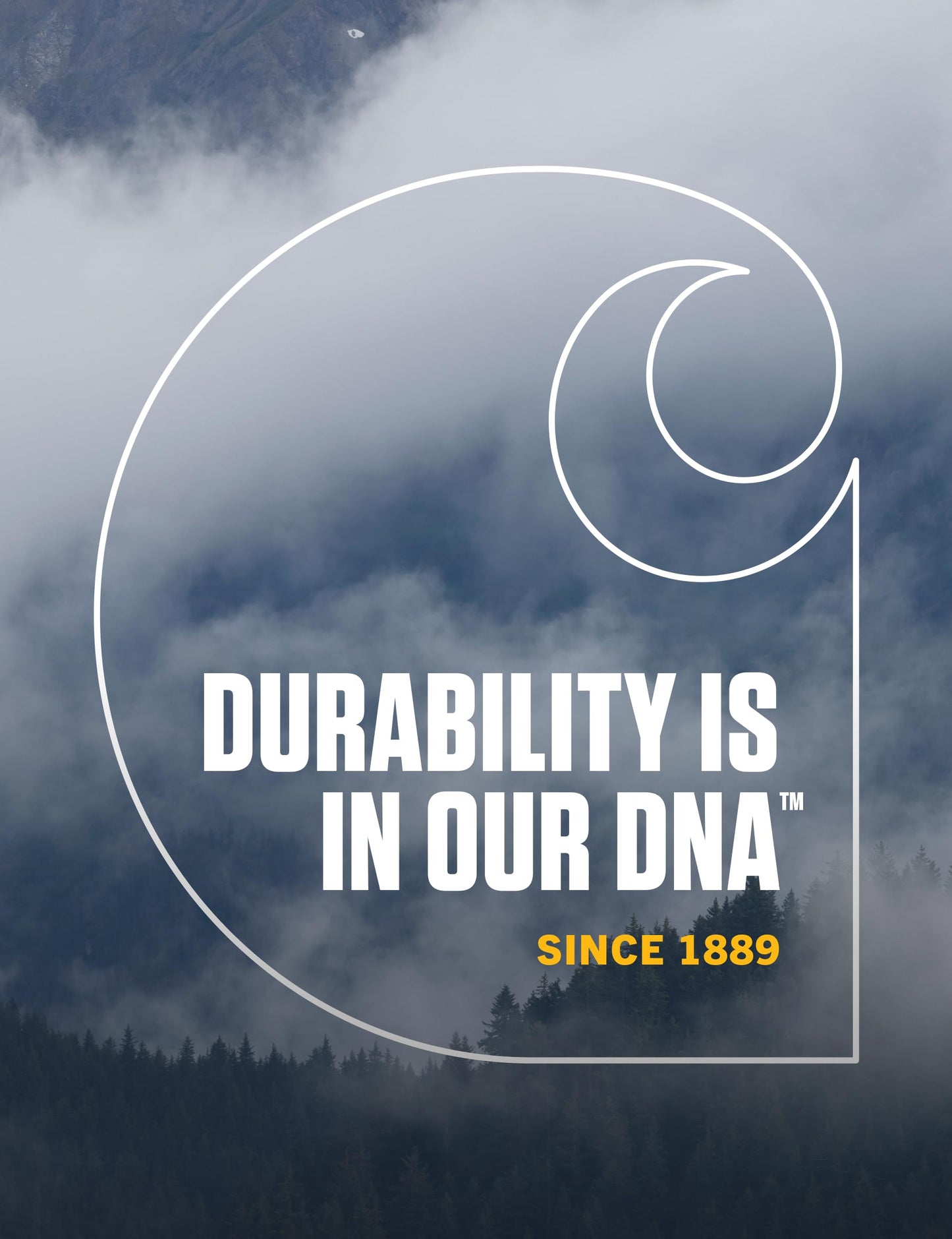 Carhartt Men's Knit Cuffed Beanie, Coal Heather, One Size