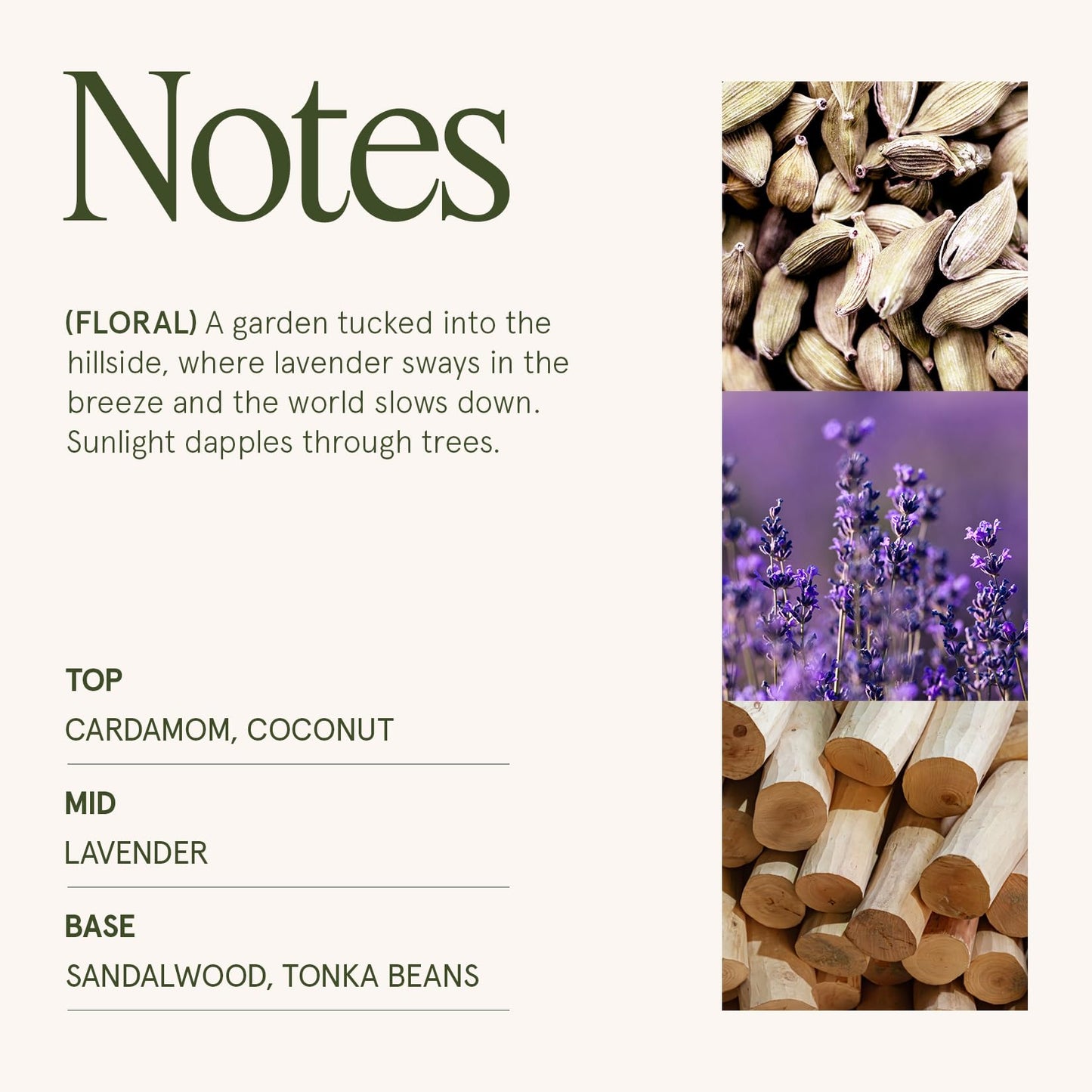 LA JOLIE MUSE Lavender Lilac Candle, Mothers Day Candles Gifts for Women, Jardin de Lavender Scented Candle, Aromatherapy Coconut Candles for Home Scented, 6 Oz 40 Hour Burn Time