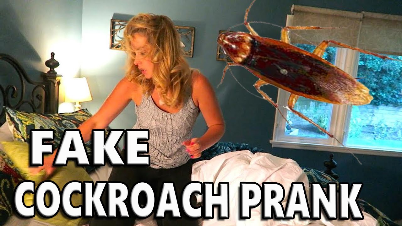 Fun Time Products Dave Stott’s 'Ultimate Prank Kit’, Funny Gag Gifts for Men, Women, and Kids