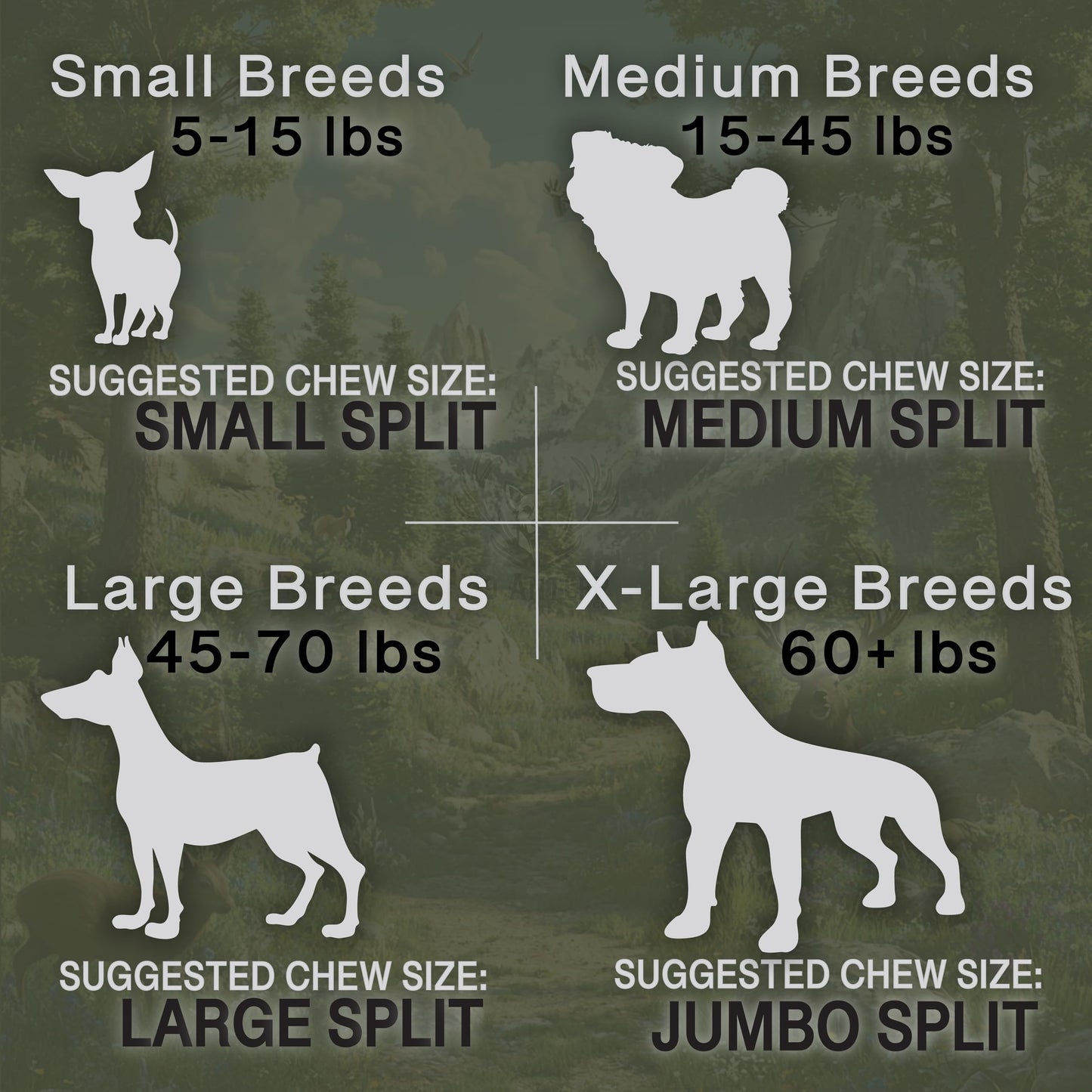 K-9 Antler Co. Elk Antlers for Dogs – Large Split, Irresistible Chew, USA Sourced, Naturally Shed & Ethically Harvested