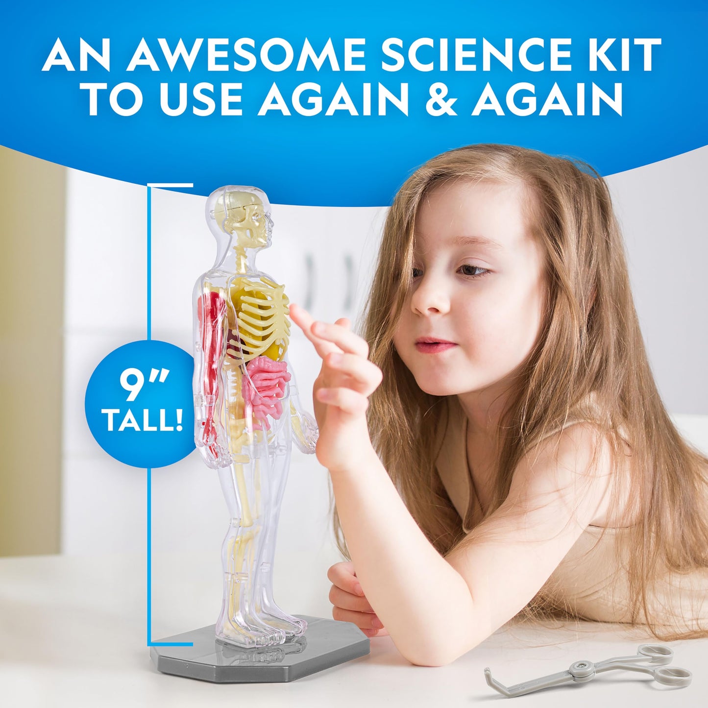 National Geographic Human Body Model for Kids That Glows in The Dark - 32-Piece Interactive Anatomy Model with Bones, Organs, Muscles, Science Kit Stocking Stuffer, Anatomy & Physiology Study Tools