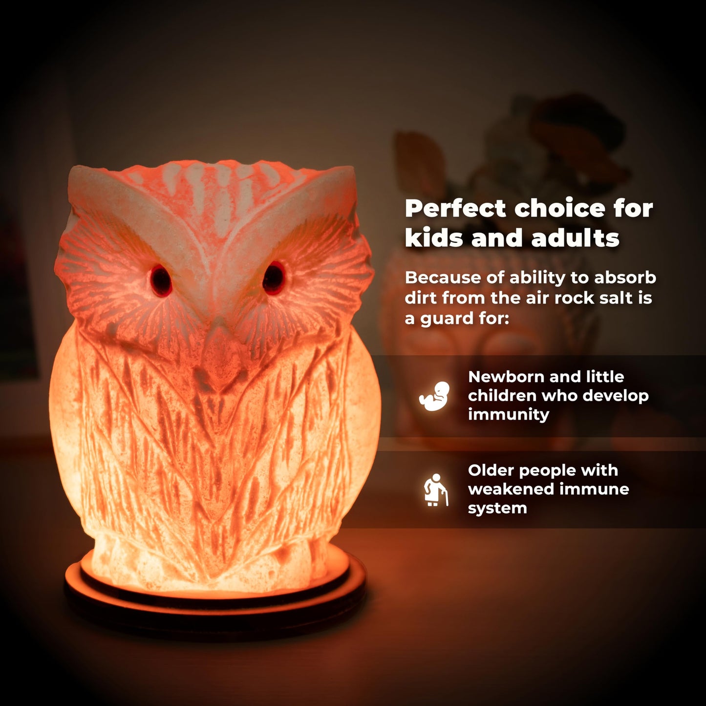 Owl Crystal Salt Lamp H 6.7”, 4.4 lbs - Pure Natural Rock Salt – Unique Night Light Lamp - 1 Light Bulb as a Gift - Wooden Present Box - Holiday Gift Ideas - Cool Room Décor